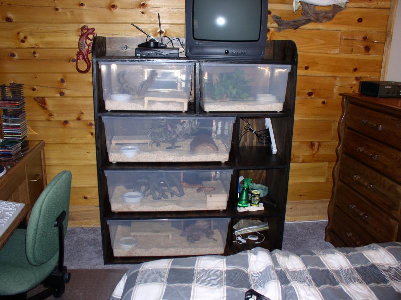 old rack pic