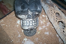 lil massasagua chillin under skull