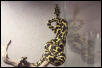 Leary Female