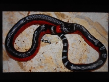Gerrit's fully striped Andean 2013