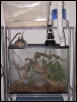 Humidifier setup
