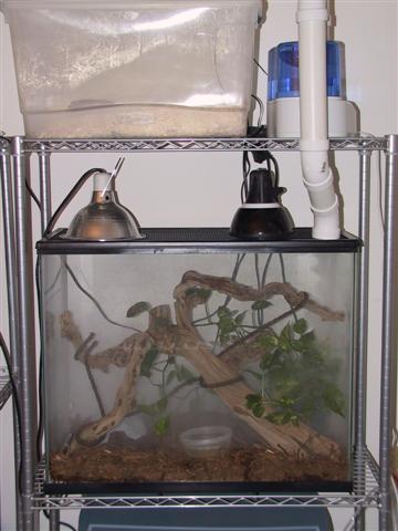 Humidifier setup