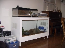 Boa cage
