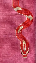 Crimson Corn Snake