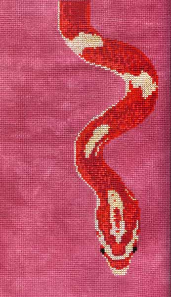 Crimson Corn Snake