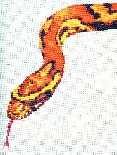 CSM Cover Snake