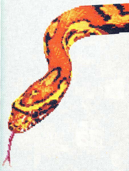 CSM Cover Snake