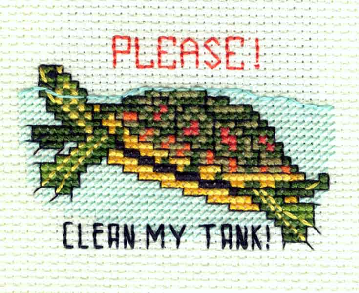 Turtle