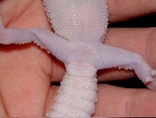 Pic 1
