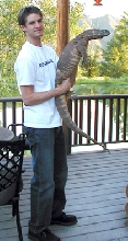 blackthroat monitor