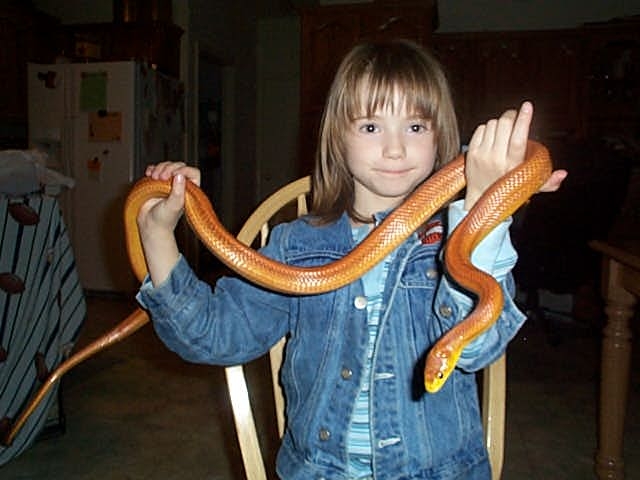 step sis and snake