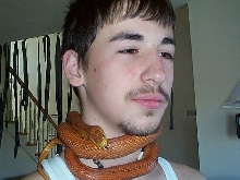 everglades rat