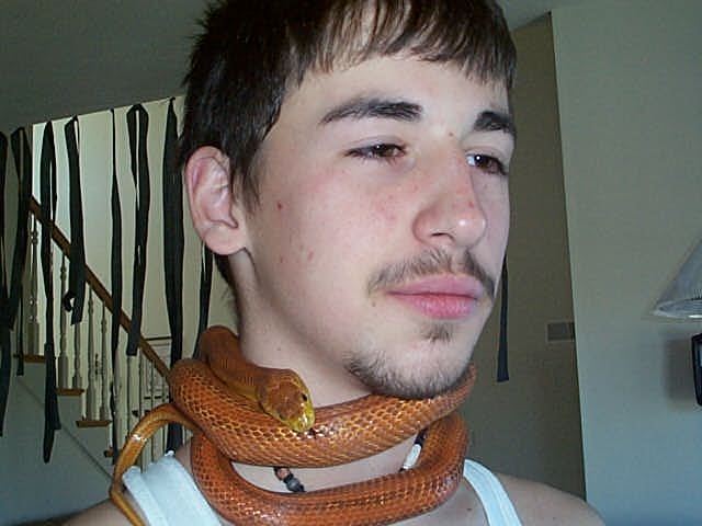 everglades rat