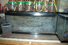 Parahybana home