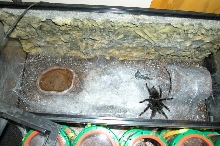 Inside shot of parahybana home