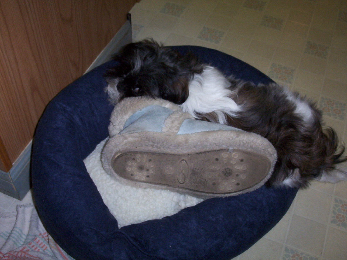 slipper sleeper