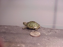 quarter
