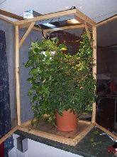 New Cage Setup