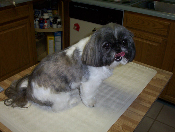 Ayla after