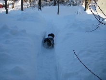 Ayla high snow