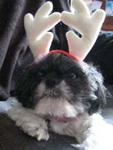 Christmas
