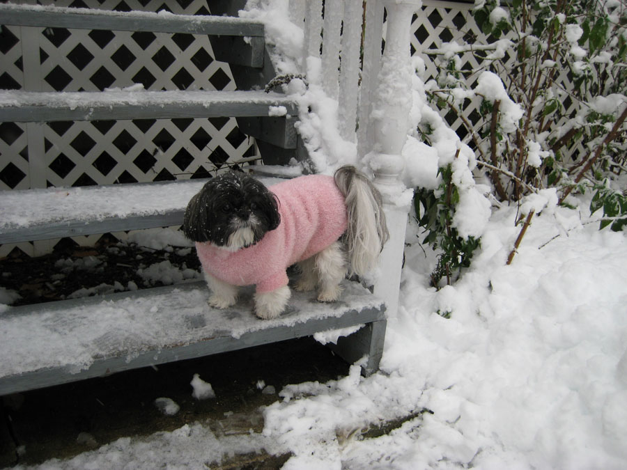 Oct snow