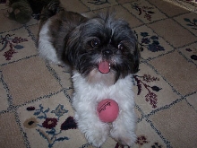 Pink ball