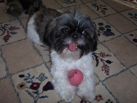 Pink ball