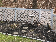 bird bath