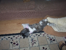 comfortable