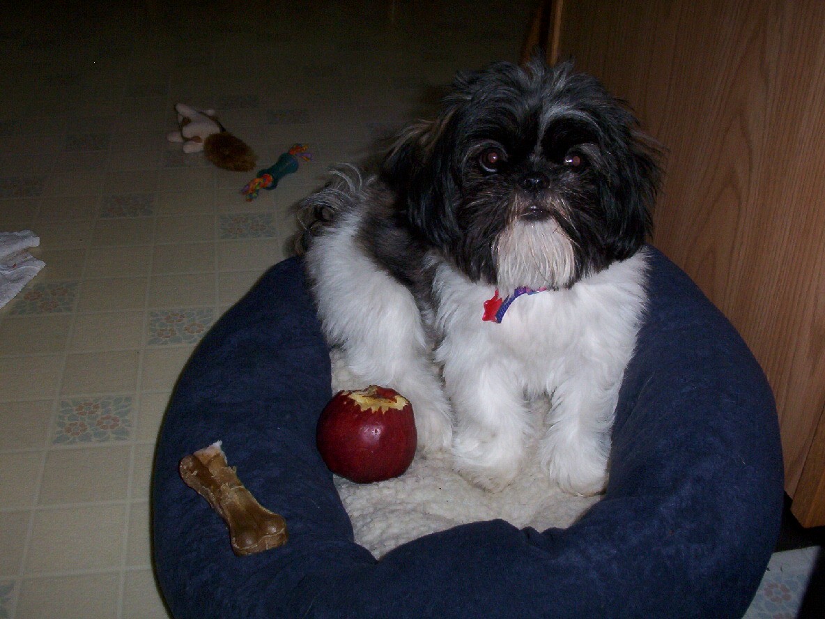 delicious apple