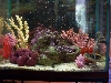 full tank view