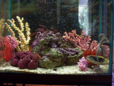 full tank view