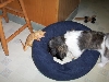 my bed