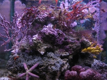 inside tank