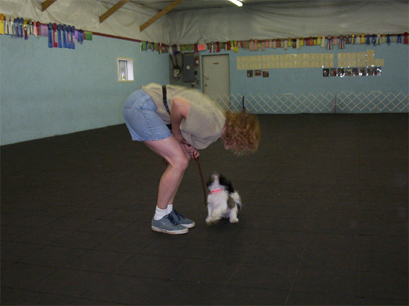 obedience, good girl