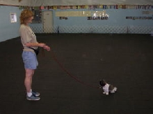 obedience