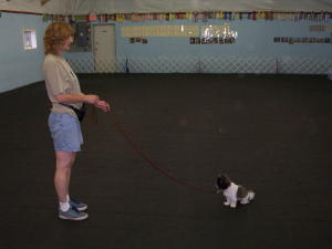 obedience