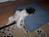 this is the life