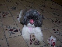 too cute