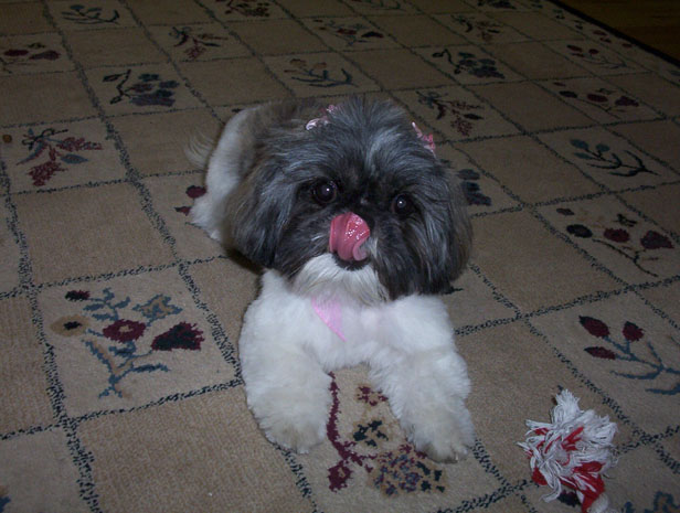 too cute