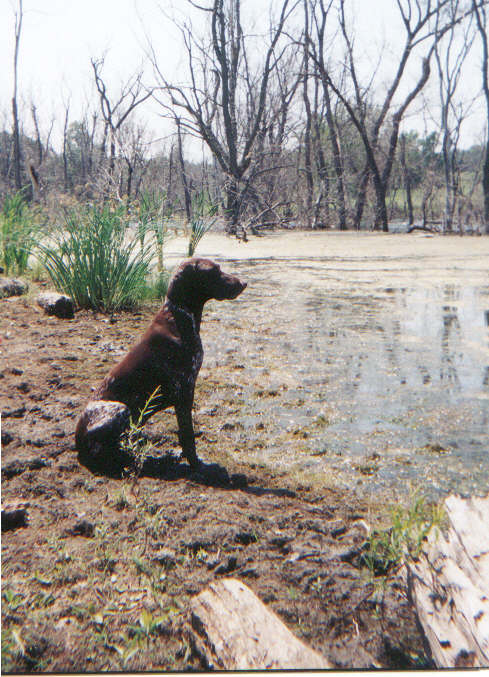 Jess water