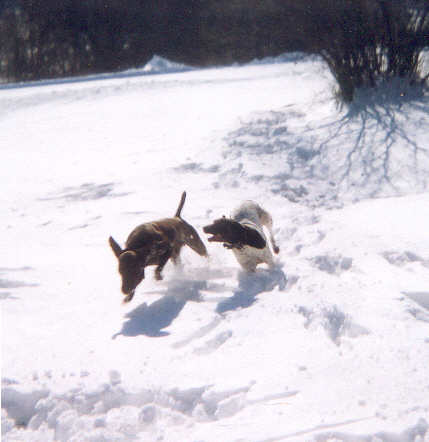 snow