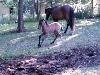 Slow down boy   LOL!!