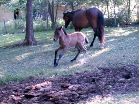 Slow down boy   LOL!!