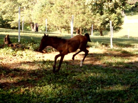 Caught him in mid air.