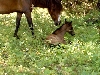 Miracle baby
