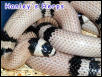 Anery Hounduran