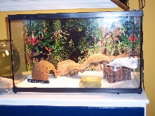 Aries' 10 gallon