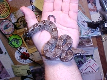 het type II baby